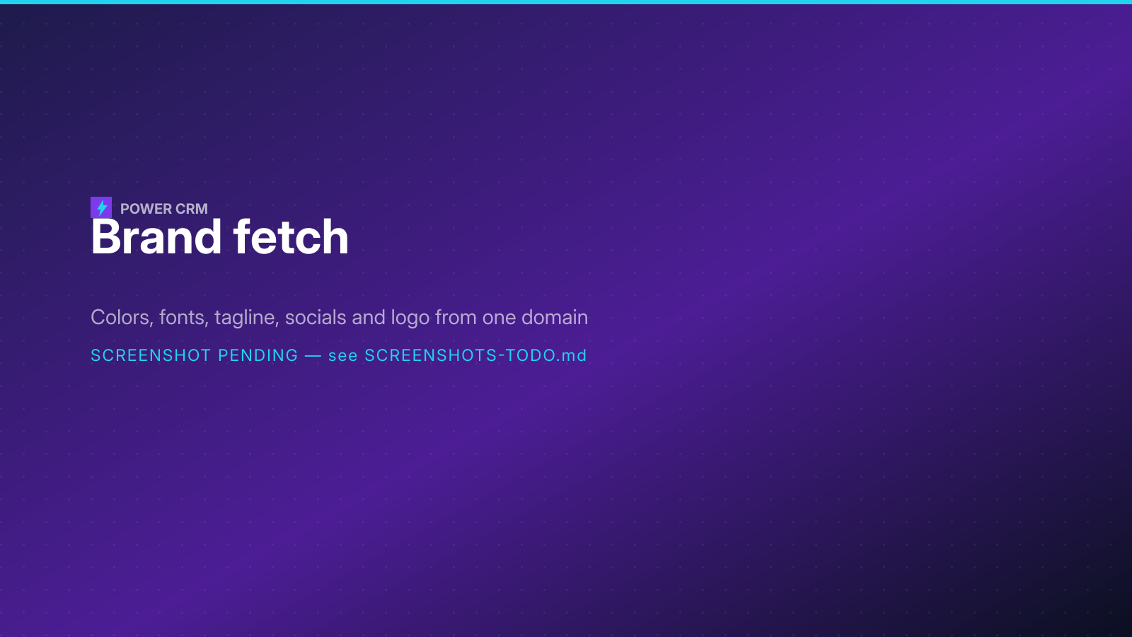 Brand Fetch in Power CRM